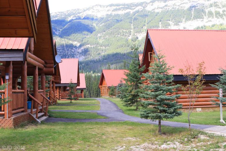 14205940_10154537057238809_6932404025086688050_o