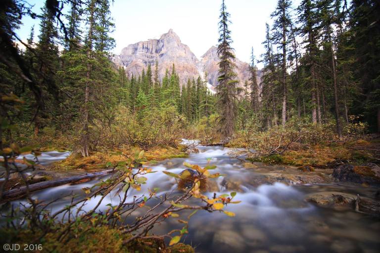 14242244_10154537059148809_3910238113827369952_o